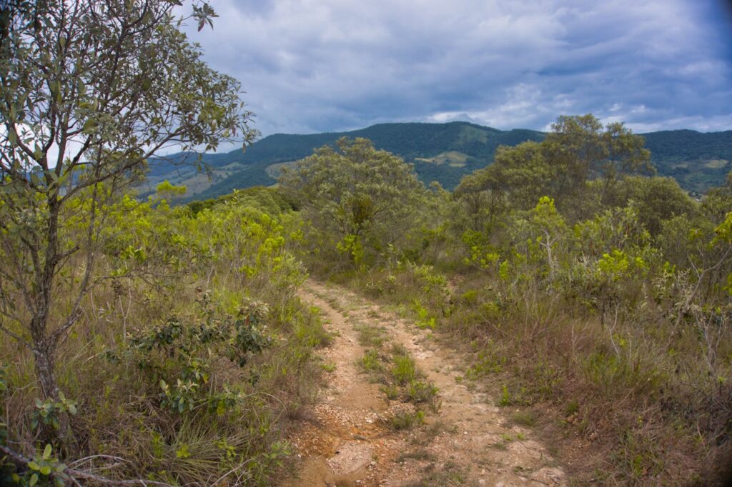 Empty pathway running through green trees and bushes against high hills covered with forest