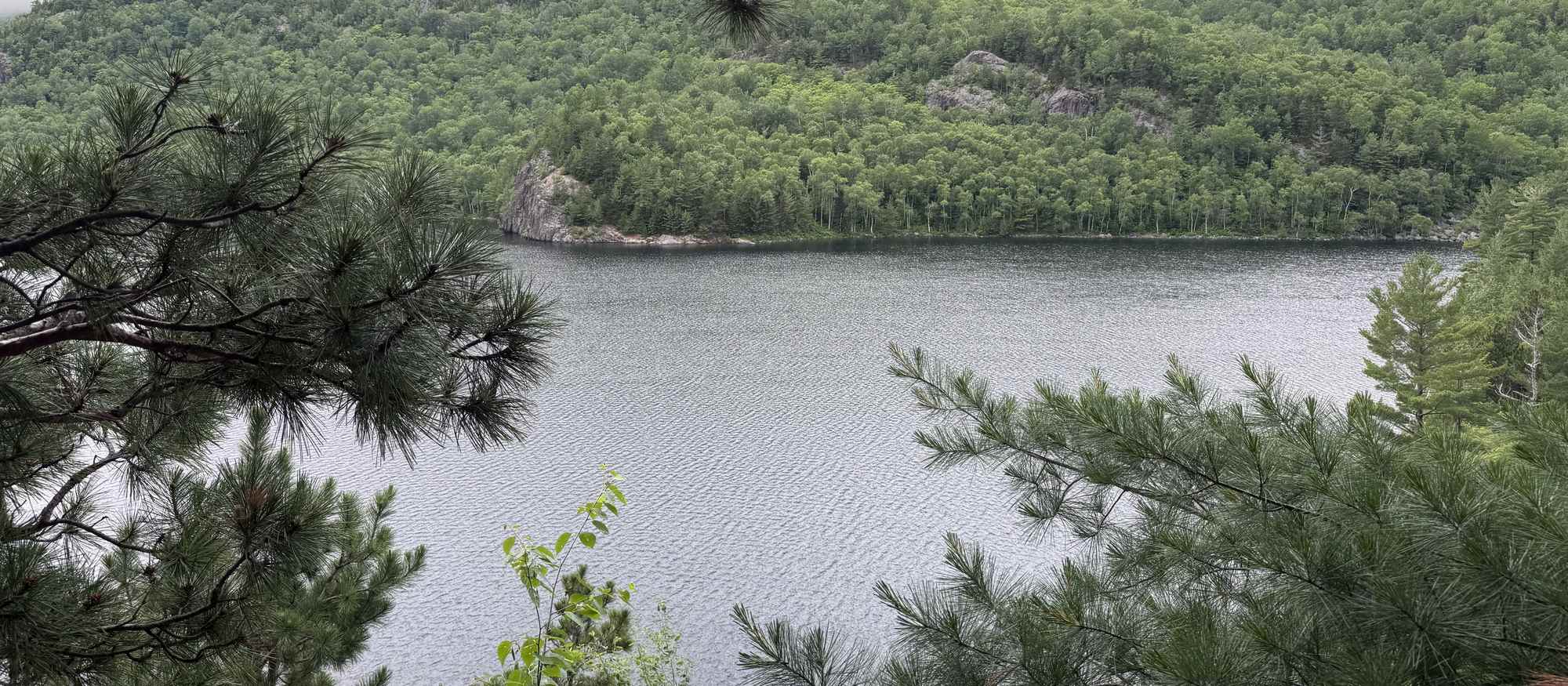 Pond below the Traveler ridge, framed by pines