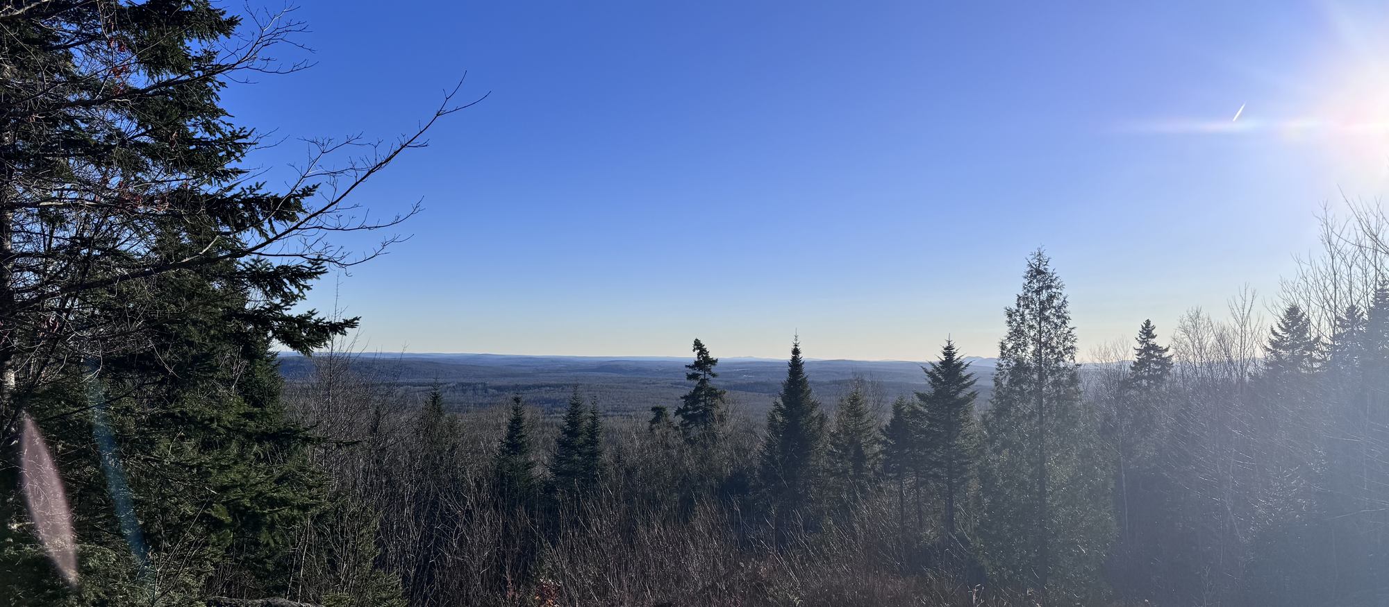 View over the forest from Mt. Chase